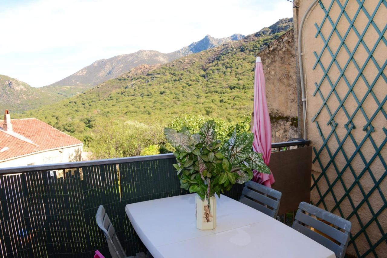 Lägenhet De 2 Chambres Avec Vue Sur La Et Terrasse Amenagee A Muro A 1 Km Des Pistes *